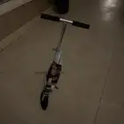 سكوتر مافيه شيء سوم