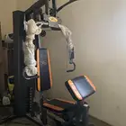 توجد العضل وكرسي الضهر