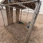 شبك طيور أو غنم