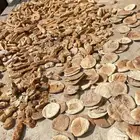 خبز ناشف للبيع 20 كيس مليانه فل