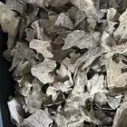 عود ترات تايلاندي