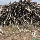 خشب ودعايم خرسانه