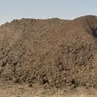 سماد بقري وبي اض