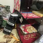 قفص كبير للقطط للبيع 100