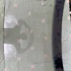 قزاز اماميه لسيارة نيسان 280c من موديل 82 فما فوق هارتب