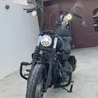 Harley Street Bob 2019