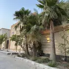 للبيع واشنطونيوم