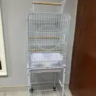 قفص ببغاء كبير