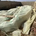 اعلاف مواشي تمر مكيس