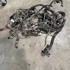 دينمو لكزز وضفيرة دوج