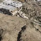 طبليات