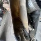 بكت بوكلين مقاس 40 للبيع