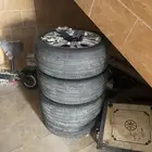 البيع جنوط جنسيس