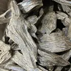 عود سومطري محسن