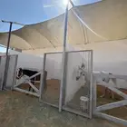 مربط لإيواء الخيل بالعمارية