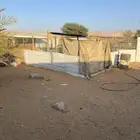 للبيع شينكو نظيف مع شبوك نظيفه معها صندقه جاهزه فك وتركيب