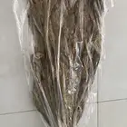 للبيع تتن