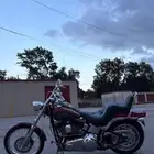 هارلي