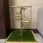 ستاند او حامل طيور قفص