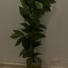 شجرة صناعية سليمة ونظيفة طولها متر و24 سم