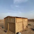 للبيع بيت شعر وغرفه خشب