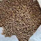 قمح سميد طيب