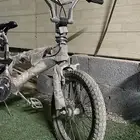 سيكل كوبرا نضيف