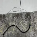 حساس الحرارة الخارجية مع اسلاكه لجمس او شفر من 2000الى 2006