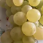 عنب بني سعد