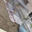 مجموعة طيور للبيع