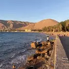 مطلوب حقل