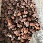 خضري تمير