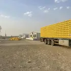 مطلوب دجاج حي لاحم في بيشة