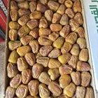 تمر سكري مفتل حبه كبيره اصفر كميه محدوده
