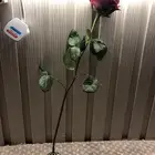 الماس اي زينه الورد السعر 50 وفي تخفض اذا تبي