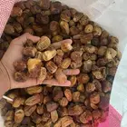 علف تمور تمر علف