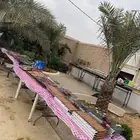 معلم مشويات