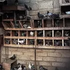 حمام بلدي مشكل