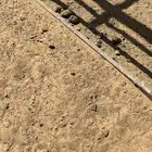 مهر عربي