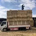 تبن بر صافي