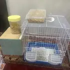 للبيع شبك