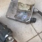 زنون