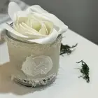 توزيعات مواليد وزواجات