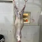 ذبايح طليان حري و تيوس يوجد صلخ وتغليف وتو صيل