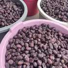 حلوه رميثيه وزن السطل 30كيلو التمر على الشرط