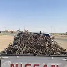 صندوق ددسن يبس شرط