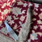 سكين عطافي ملبسه جلد وبر بري