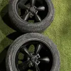 جنوط موستنق بوليت