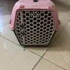 أغراض قطط للبيع