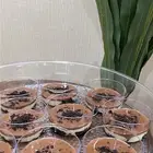 حلويات تلبي ذائقتكم